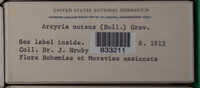 Image Associated With the Occurence
